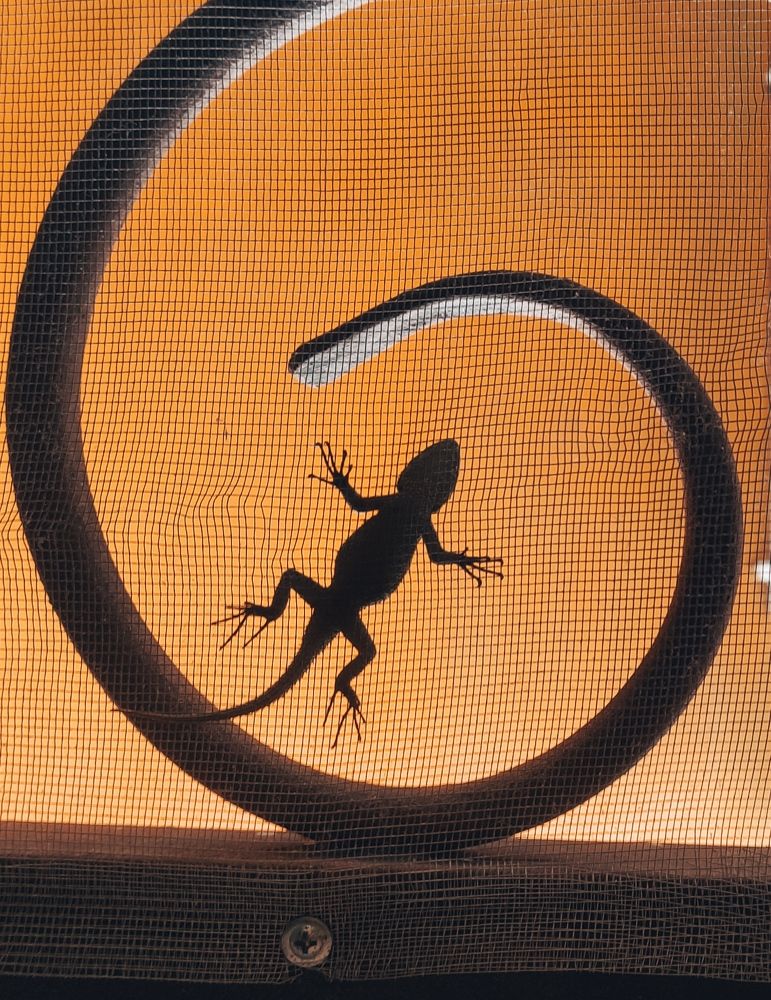 Photograph by Антон Романов