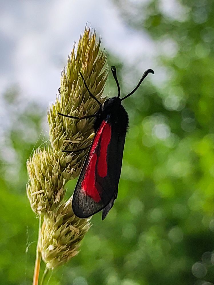 Photograph by Deiltora