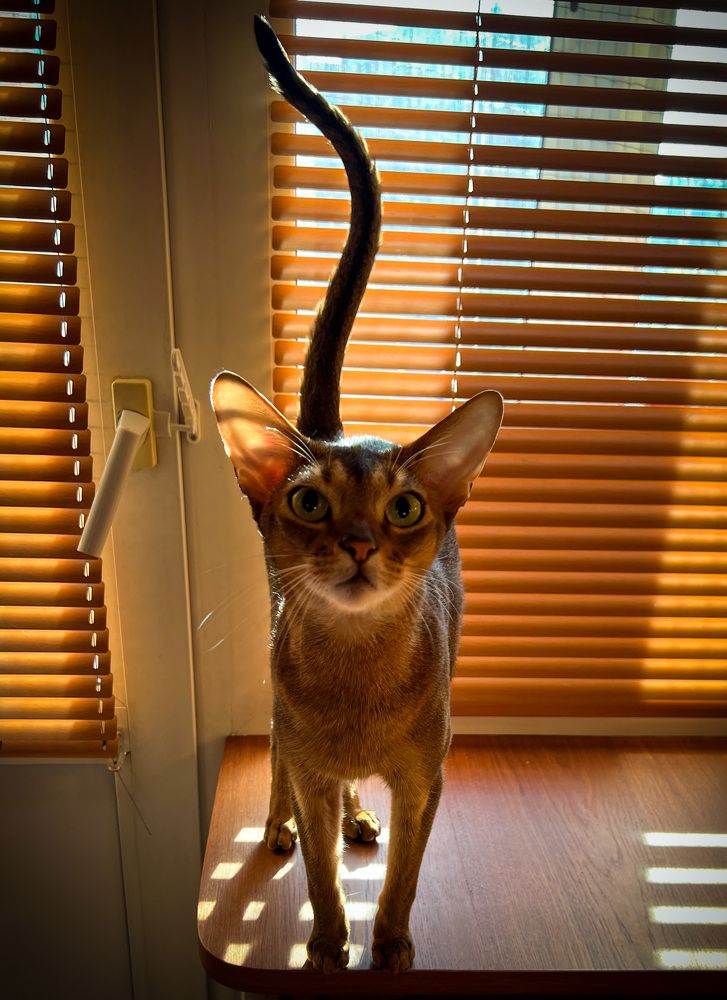 Photograph by Владимир Запорожченко