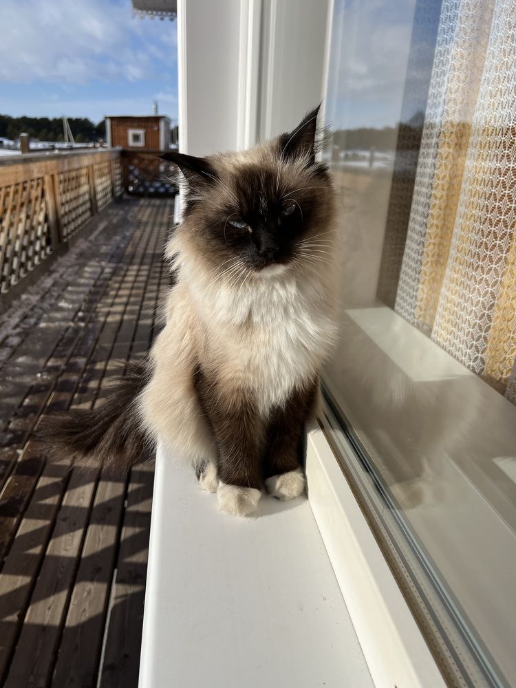 Photograph by Владимир Запорожченко