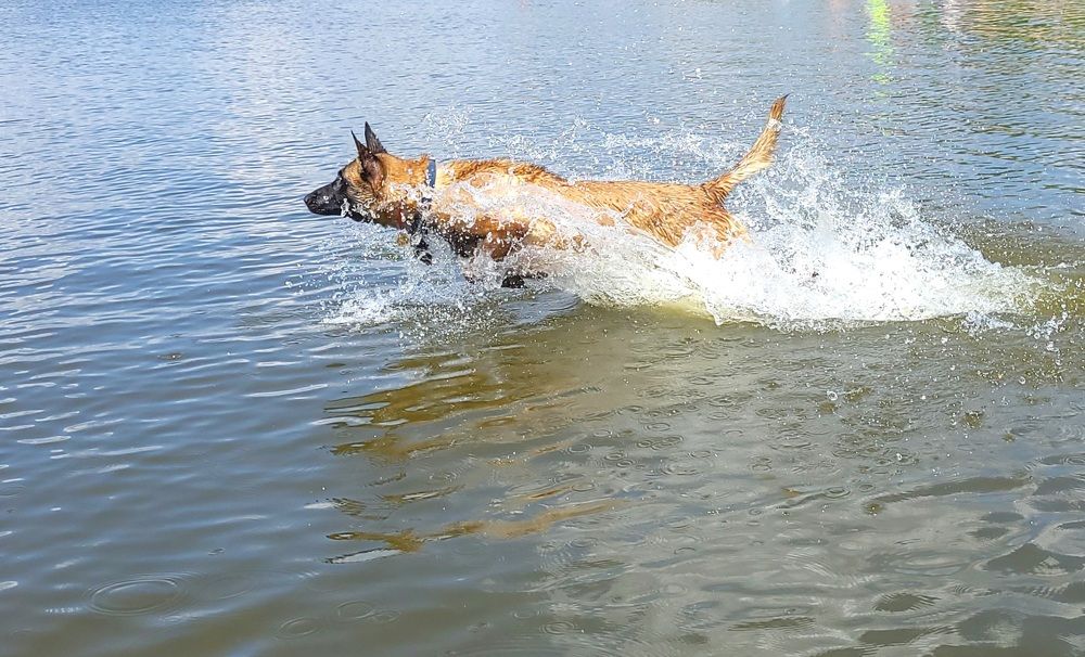 Фотография автора Анна Яковенко