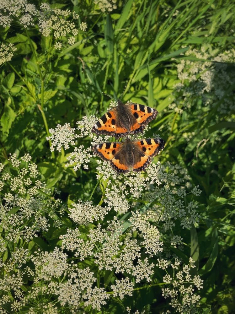 Photograph by Ксения Березкина