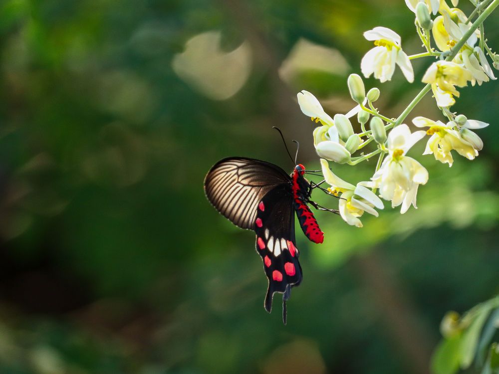 Photograph by Priyan Manivannan