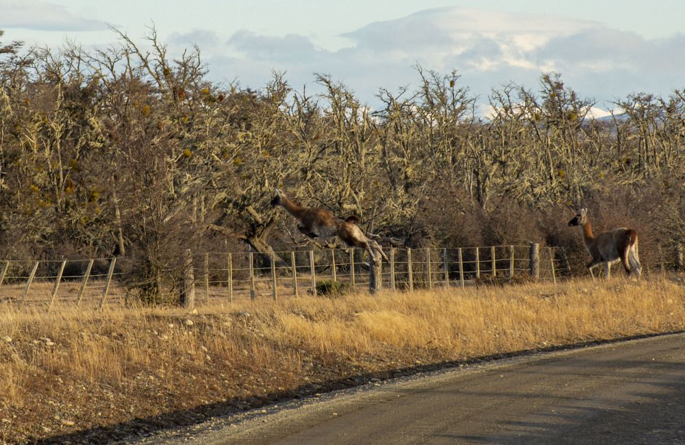 Photograph by Gabriel Cabott