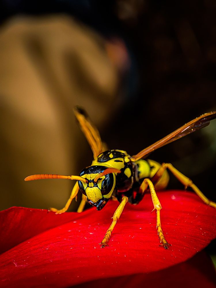 Photograph by mahdi roozbahani