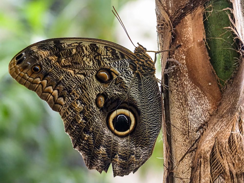 Фотография автора Слави Котаров