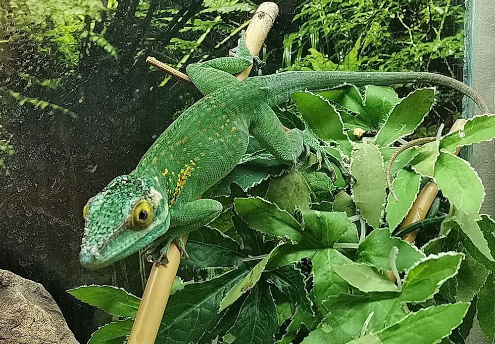 Фотография автора АЛЕКСАНДР ЦЫГЕЛЬНЮК