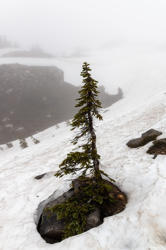 Photograph by Анатолий Костерев