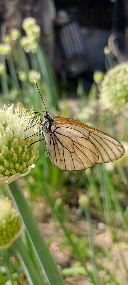 Photograph by Валентин Волк
