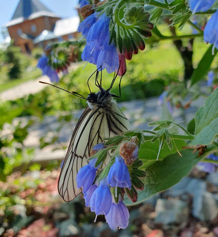 Photograph by Жанна Регор