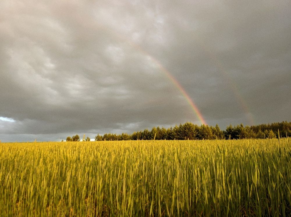 Photograph by Миша Азиатцев