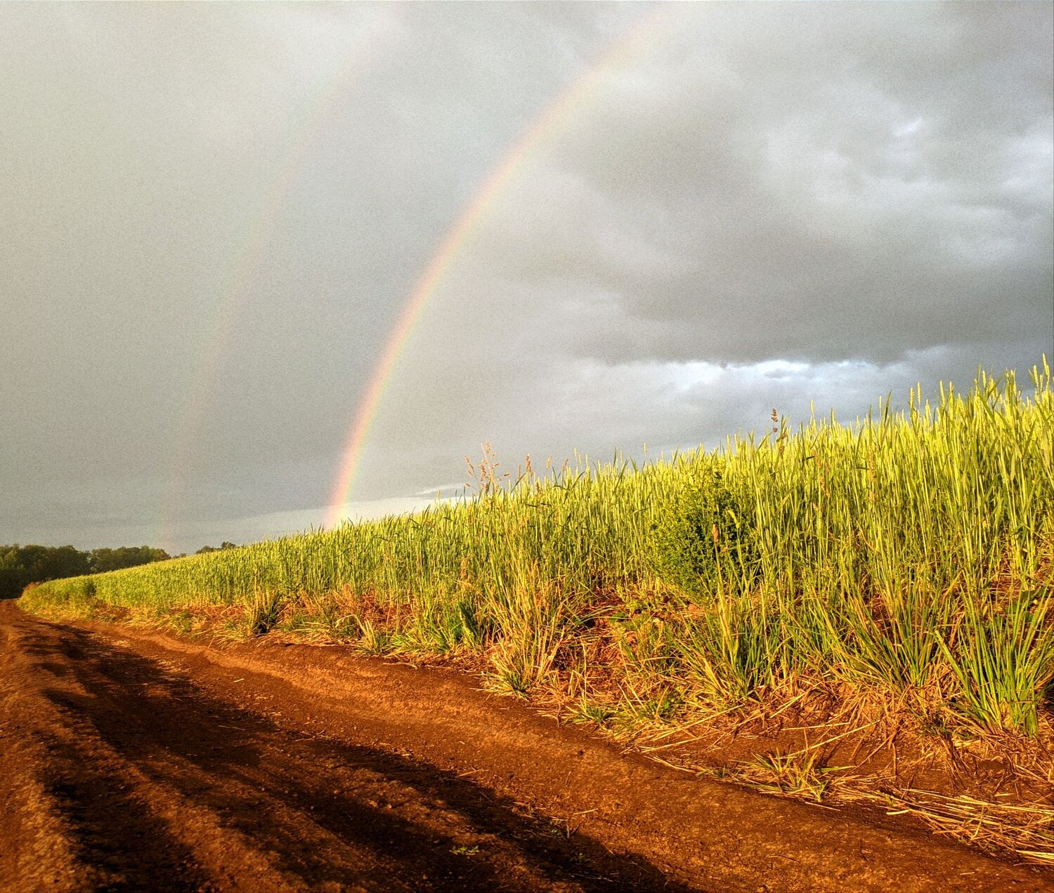 Photo #9257125
