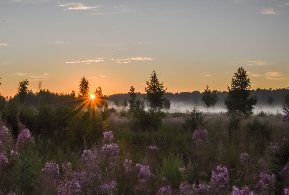 Photograph by Марина Суздаль