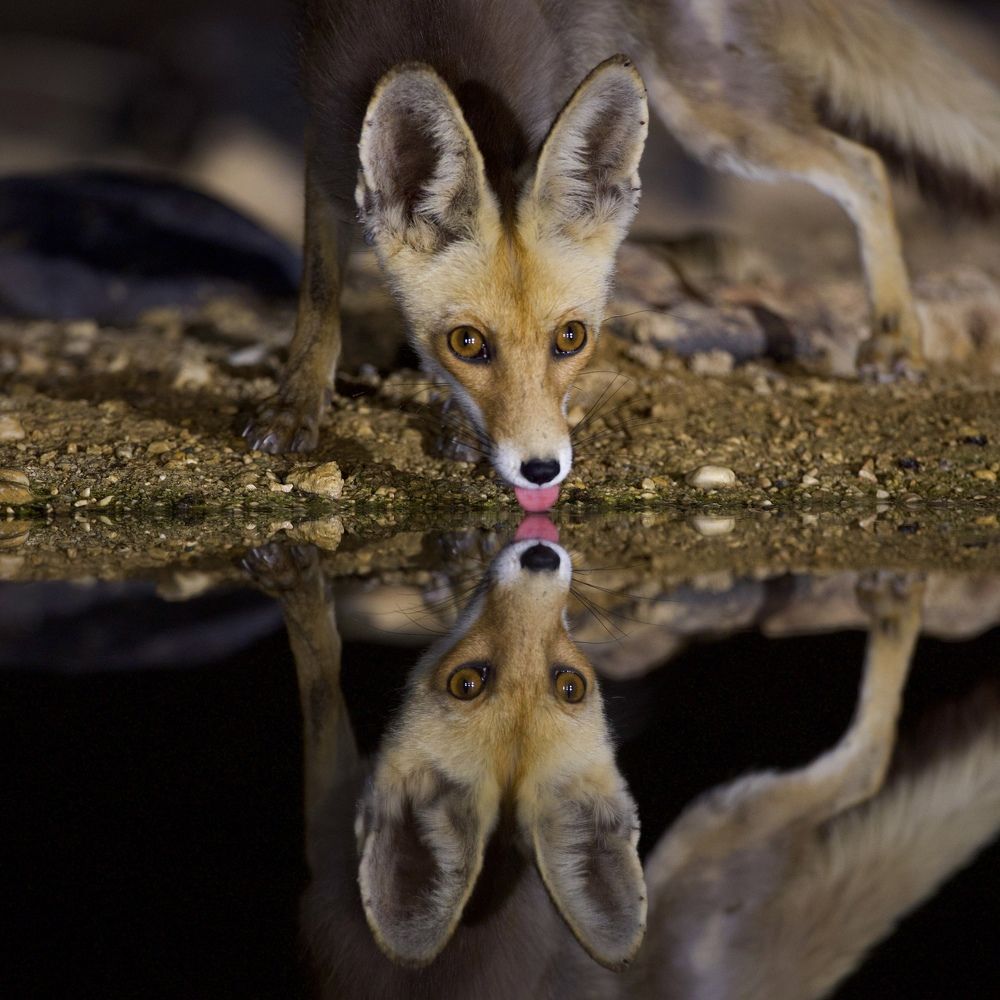 Photograph by David Manusevich