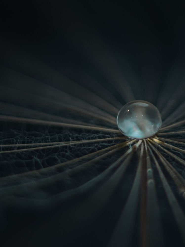 Фотография автора Наталья Алексеева