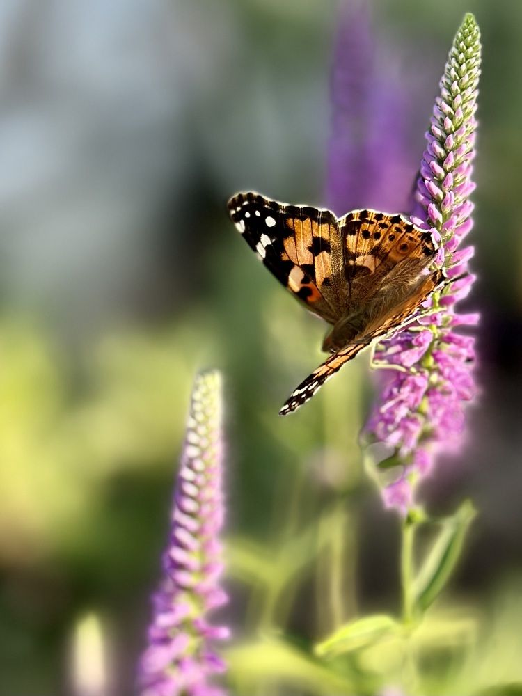 Photograph by Евгения Казакова
