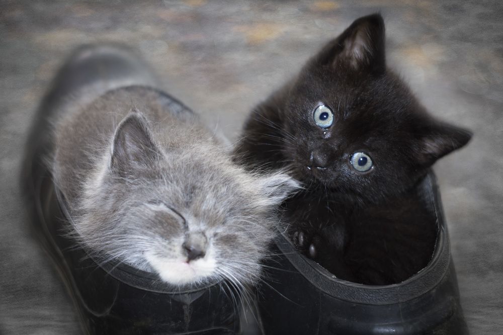 Photograph by Зимина Лионелла