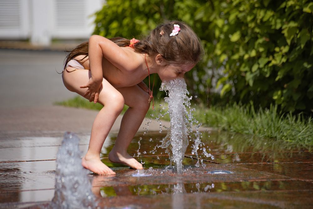 Photograph by Михаил Зикрач