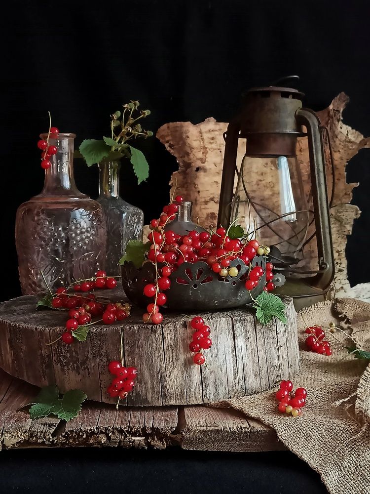 Photograph by Новикова Елена Сергеевна