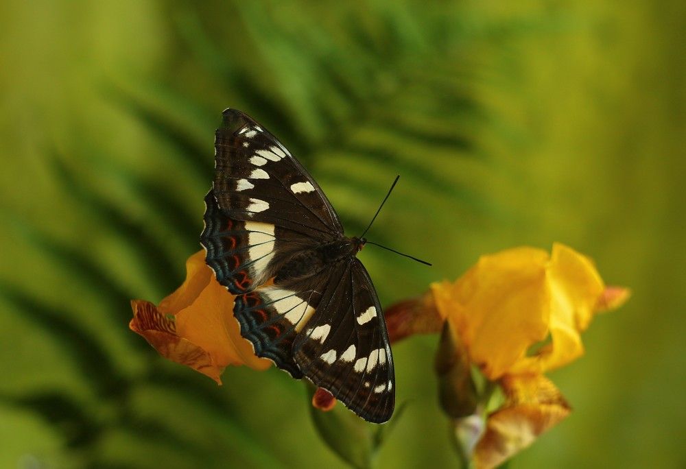 Photograph by Людмила Хрусталева*