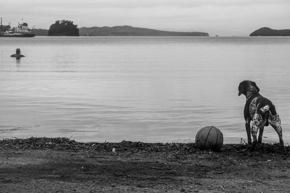 Photograph by Антон Яркин