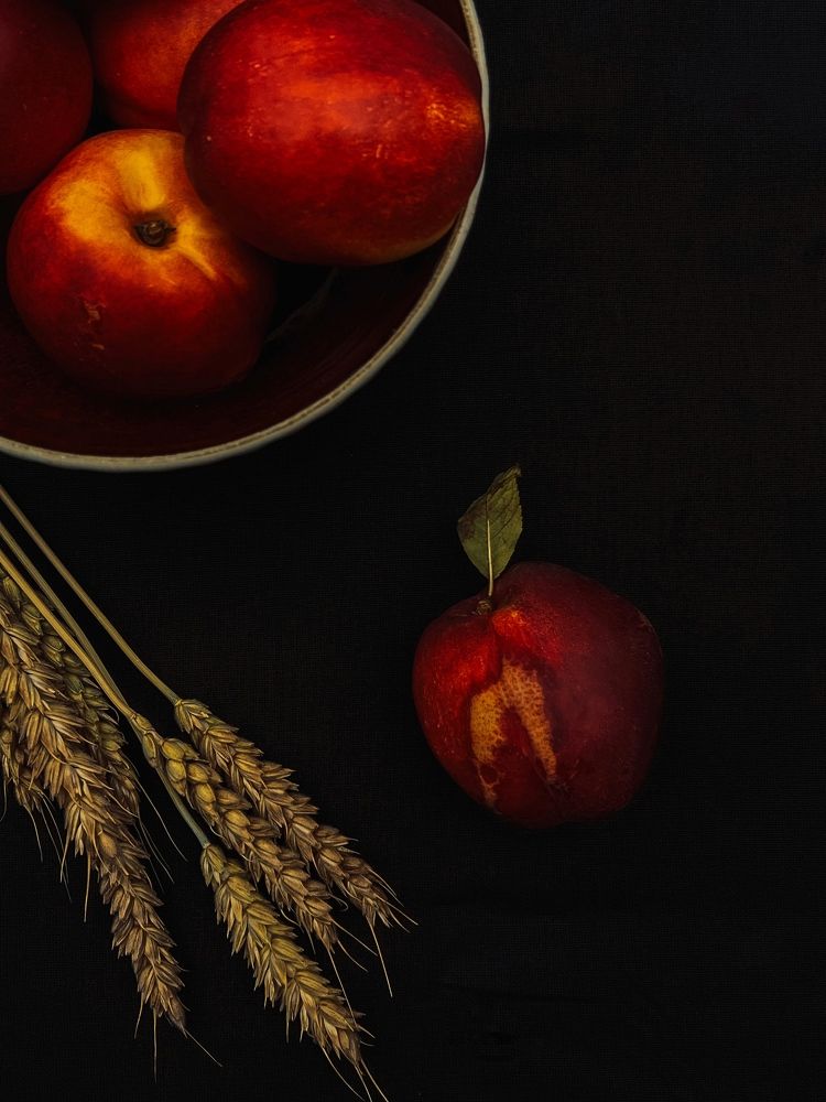 Photograph by Анастасия Еланцева