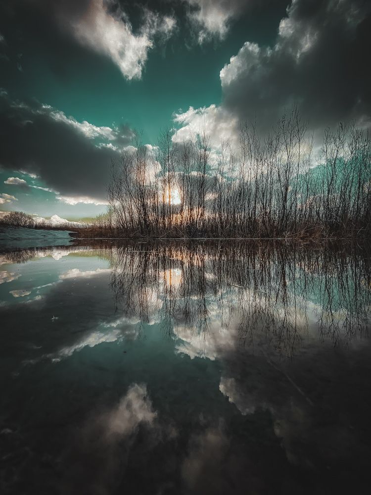 Photograph by Алина Шорина