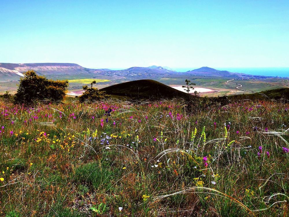 Фотография автора Андрей Богданов