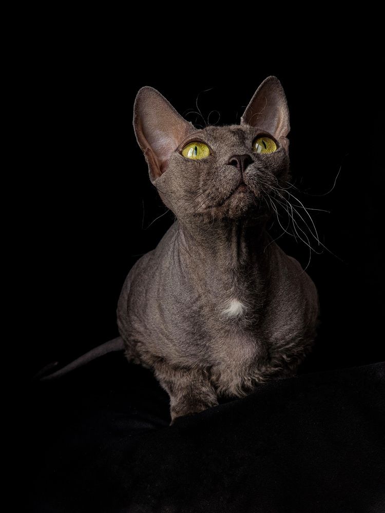 Photograph by Анастасия Еланцева