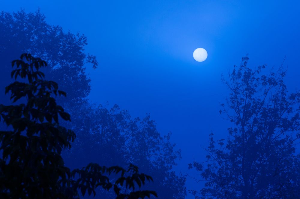 Фотография автора 