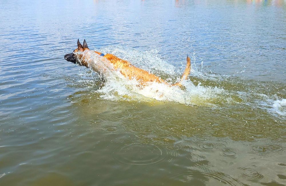 Фотография автора Анна Яковенко
