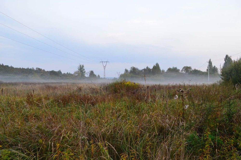 Photograph by Ксения