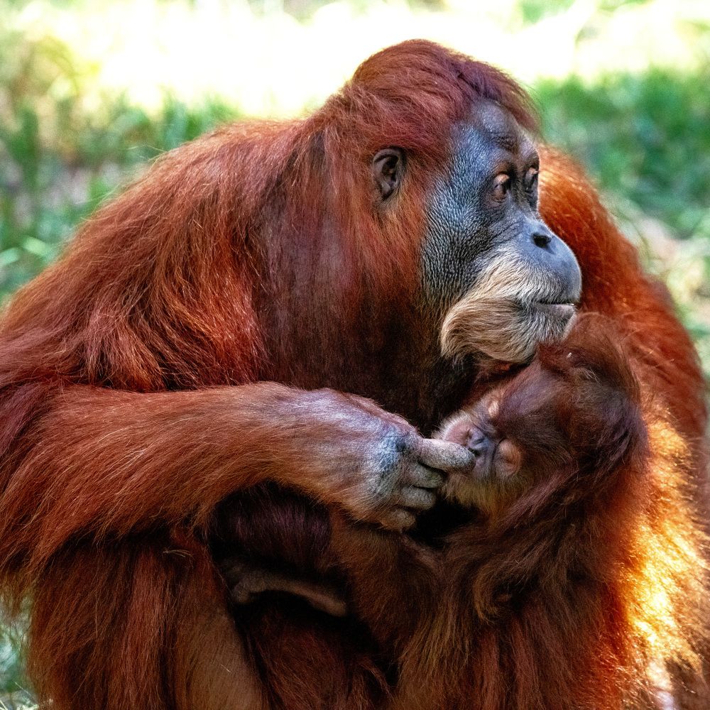 Photograph by David Lerer