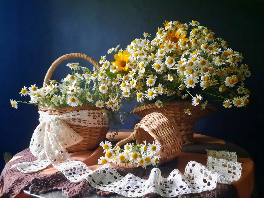 Photograph by Марина Соколова