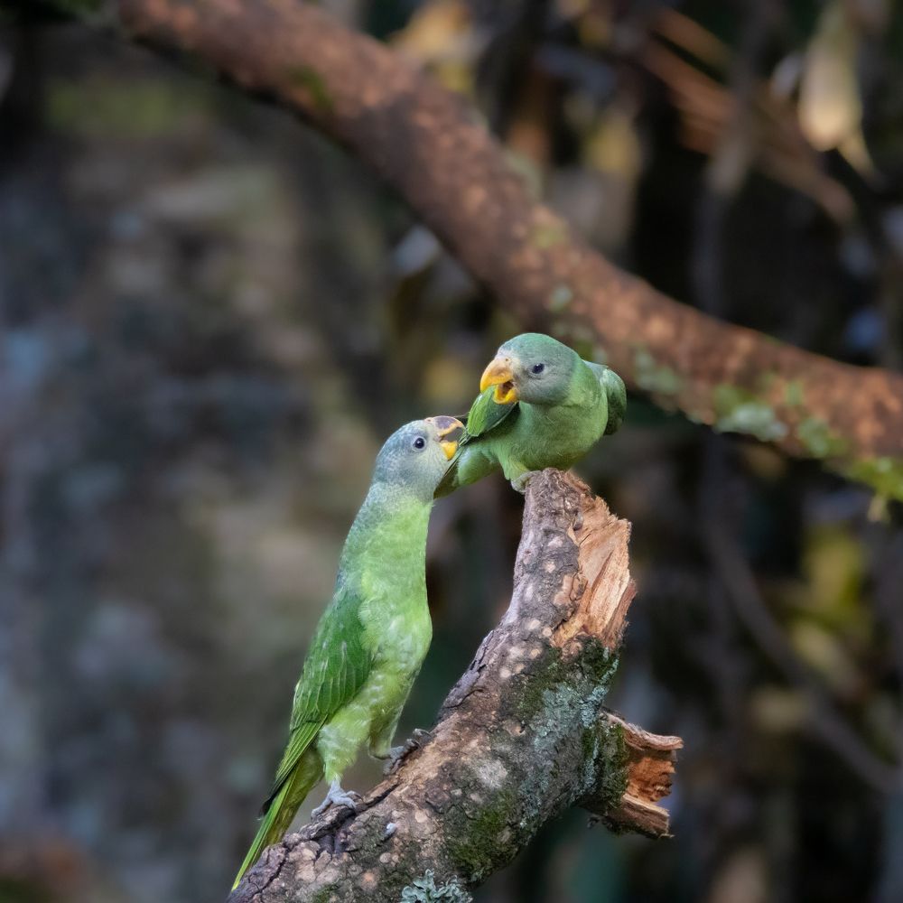 Photograph by Jairam Pathak