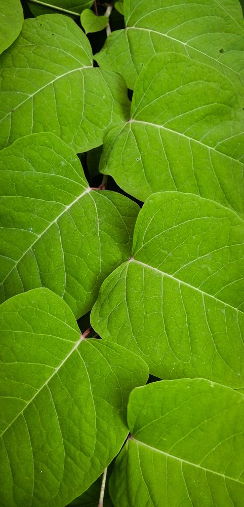 Photograph by Наталья Клячина