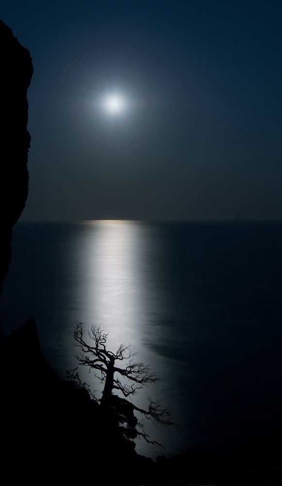 Photograph by Людмила Сиденко