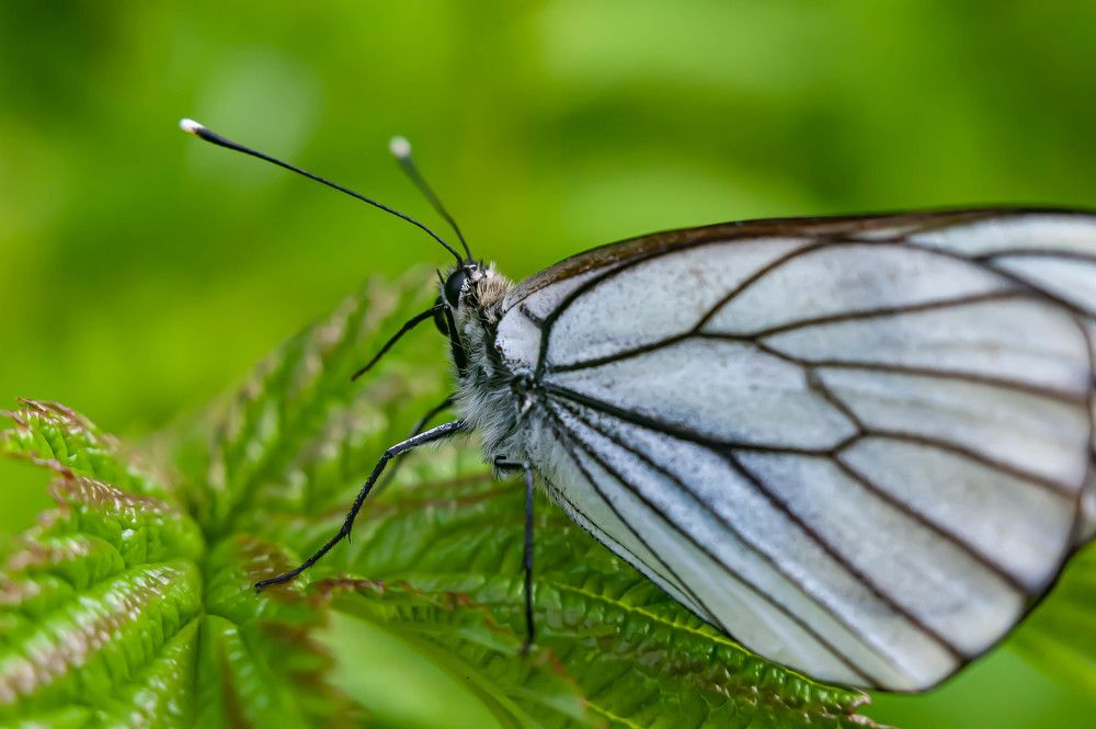 Photograph by Вадим Басов