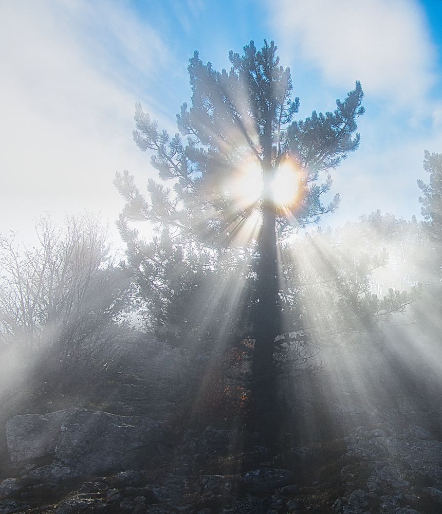 Photograph by Андрей Евтеев