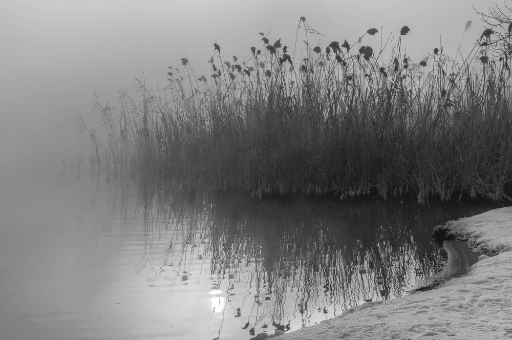 Photograph by Андрей Евтеев