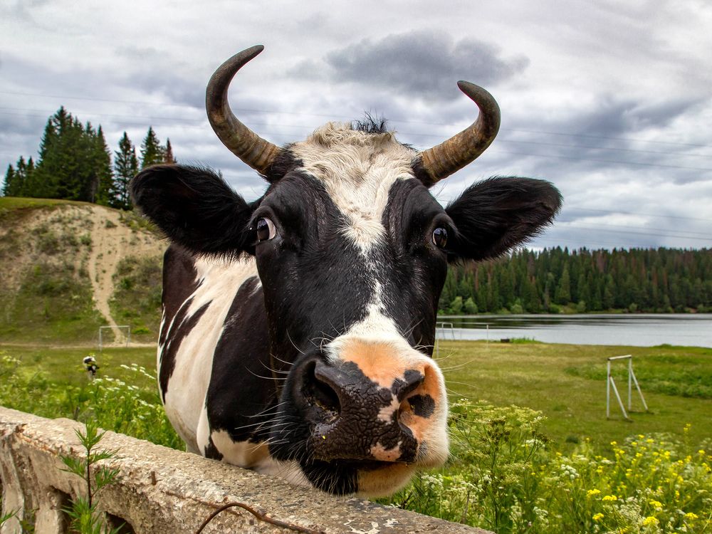 Первая фотосессия.