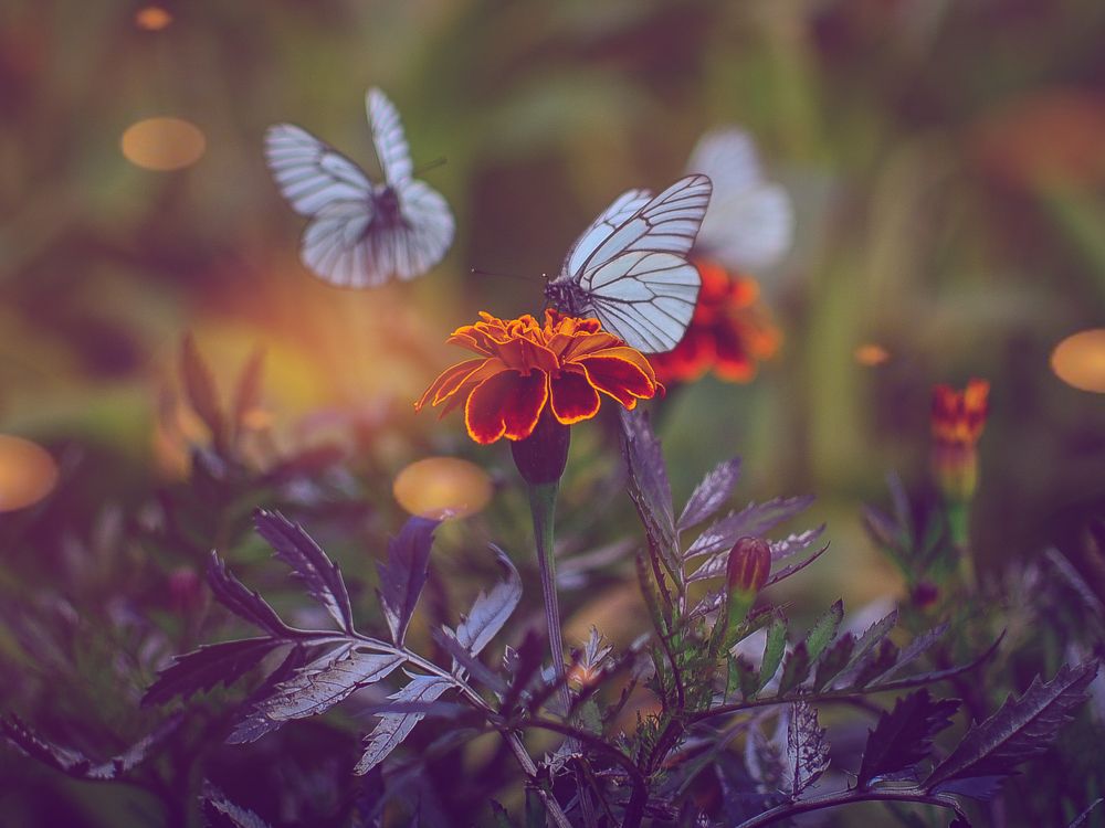 Photograph by Глухарев Сергей