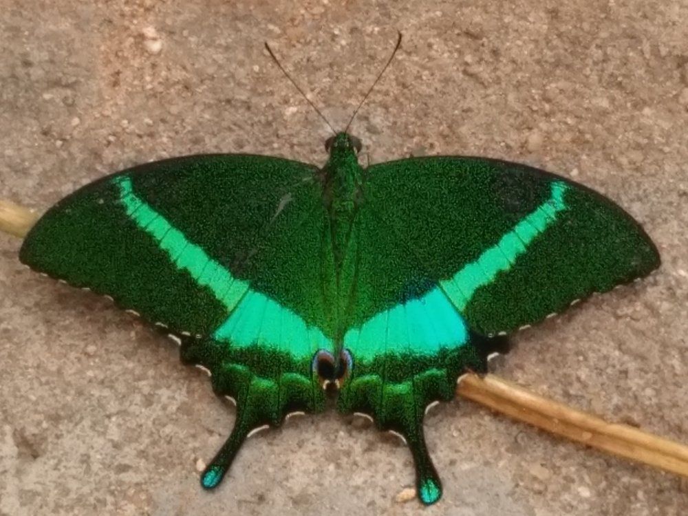 Photograph by Mithun Kumar
