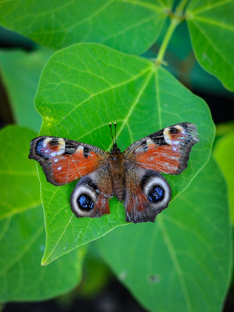 Photograph by Глухарев Сергей