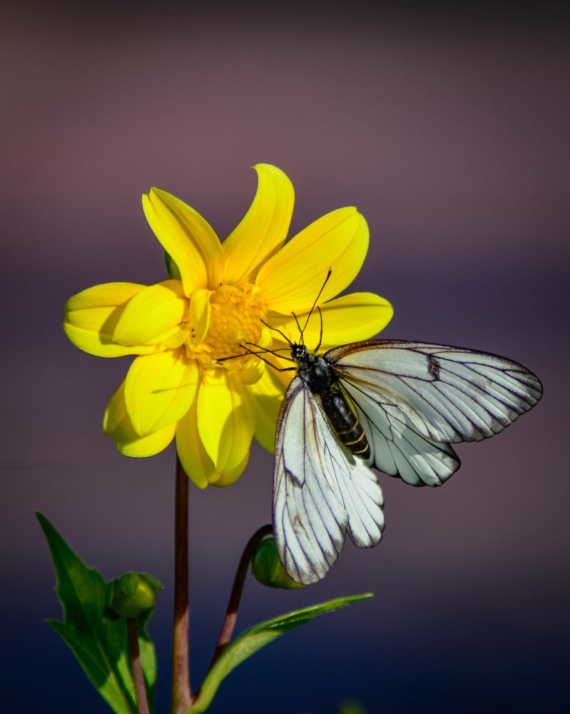 Photograph by Глухарев Сергей