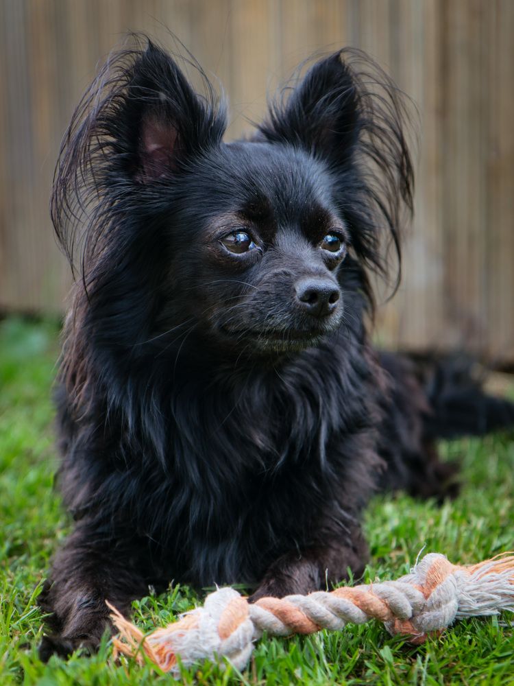 Photograph by Екатерина Слепнева