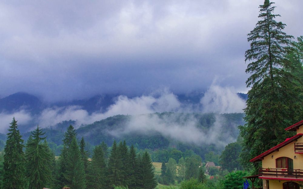 Photograph by Gitin Leonid