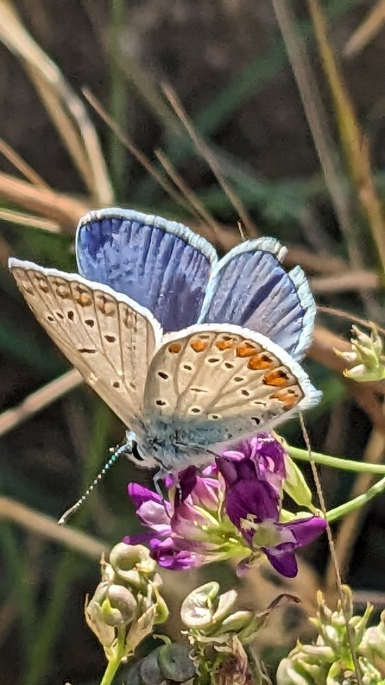 Photograph by Lilit Petrosyan