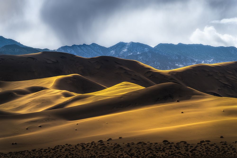 Photograph by Markus Albert