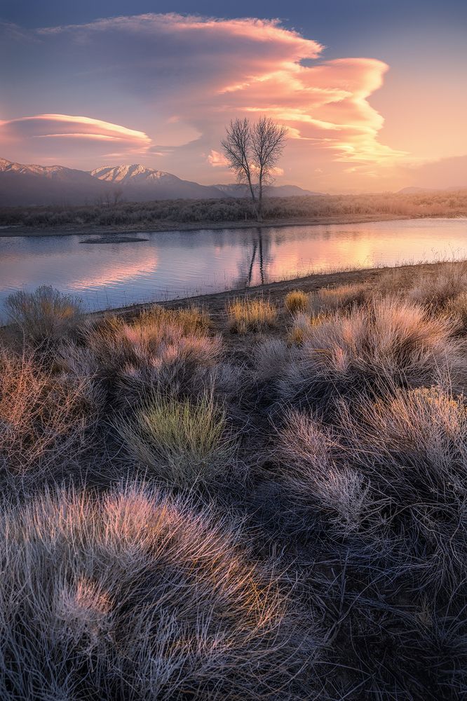 Photograph by Markus Albert